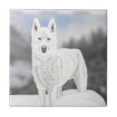 White Husky Fliese (Vorderseite)