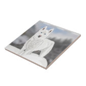 White Husky Fliese (Seite)