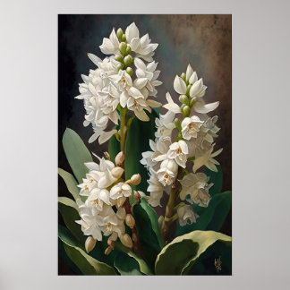 White Hyacinth Blume Art Print Poster