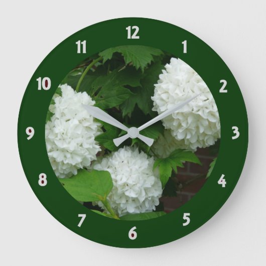 White Hydrangea Annabelle Blumen Pflanze Große Wanduhr (Vorderseite)