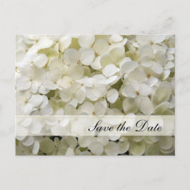 White Hydrangea-Blume Hochzeit speichern Sie das D Ankündigungspostkarte