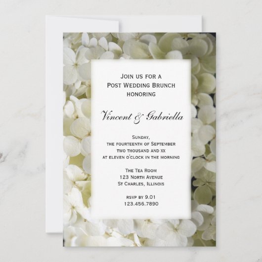 White Hydrangea Blume Post Wedding Brunch Einladung (Vorderseite)