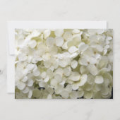 White Hydrangea Blume Sweet 16 Birthday Party Einladung (Rückseite)