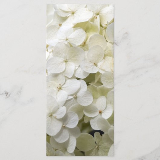 White Hydrangea Blume Wedding Program Programm (Vorderseite)