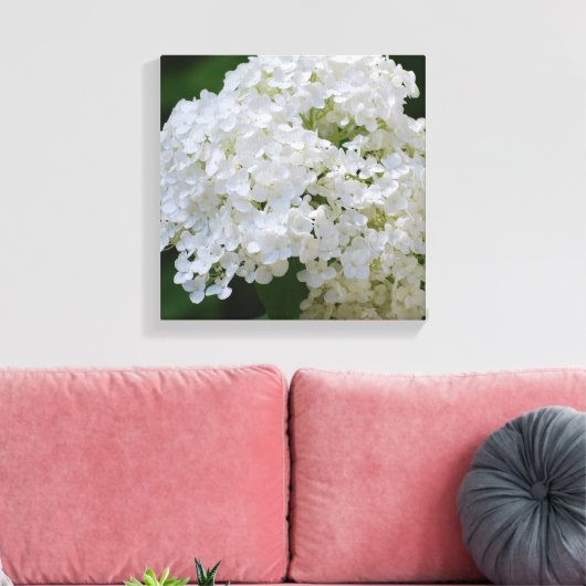 White Hydrangea Canvas Print Leinwanddruck (Insitu (Wohnzimmer))