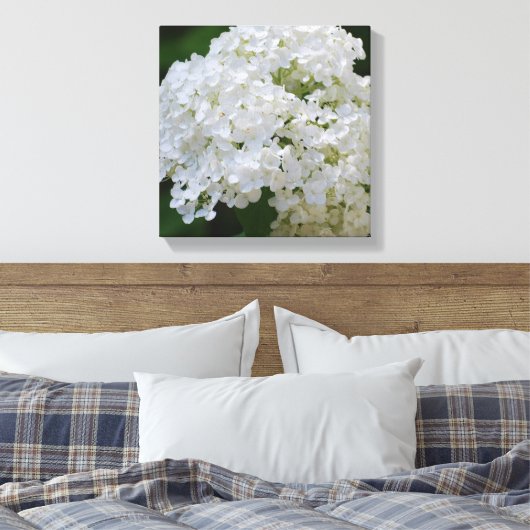 White Hydrangea Canvas Print Leinwanddruck (Insitu (Schlafzimmer))