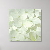 White Hydrangea Canvas Print Leinwanddruck (Vorderseite)