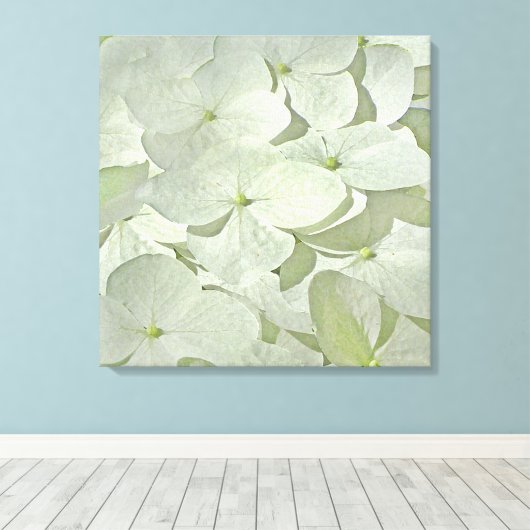White Hydrangea Canvas Print Leinwanddruck (Insitu (Holzboden))