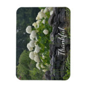 White Hydrangea Dankbarkeit Magnet (Vertikal)