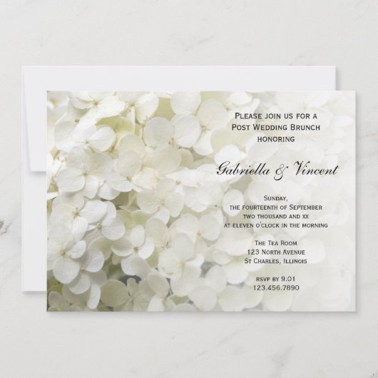 White Hydrangea Floral Post Wedding Brunch Einladung (Vorderseite)