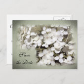 White Hydrangea Floral Save the Date Ankündigungspostkarte (Vorne/Hinten)