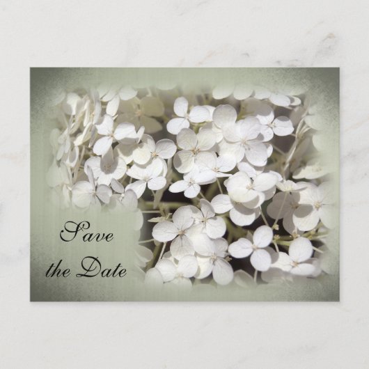 White Hydrangea Floral Save the Date Ankündigungspostkarte (Vorderseite)