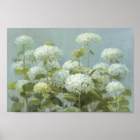 White Hydrangea Garden Poster (Vorne)