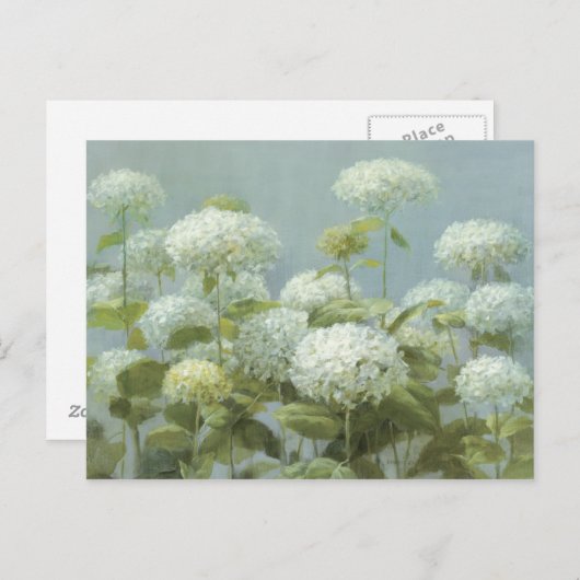 White Hydrangea Garden Postkarte (Vorne/Hinten)