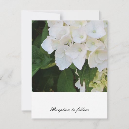 White Hydrangea Hochzeitseinladung Einladung (Rückseite)