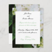 White Hydrangea Hochzeitseinladung Einladung (Vorne/Hinten)