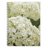 White Hydrangea Notizblock (Vorderseite)