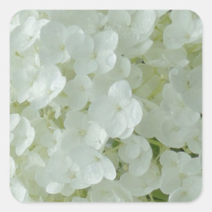 White Hydrangea Petals Quadratischer Aufkleber