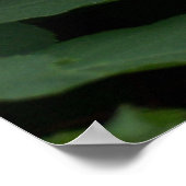 White Hydrangea Poster (Ecke)