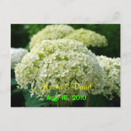 White Hydrangea Save the Date Postcard Ankündigungspostkarte