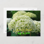 White Hydrangea Save the Date Postcard Ankündigungspostkarte (Vorne/Hinten)