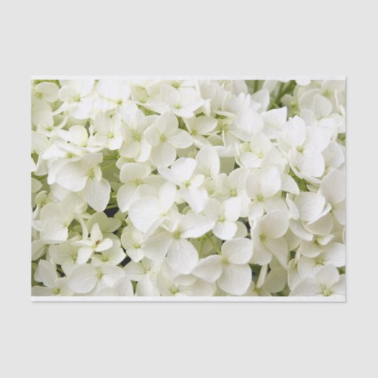 White Hydrangea Summer Party Seidenpapier (Vorderseite)