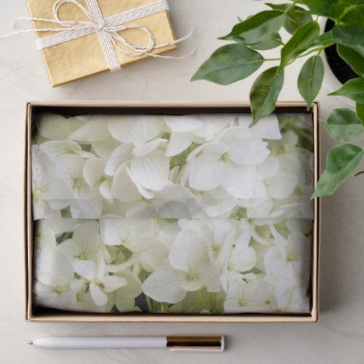 White Hydrangea Summer Party Seidenpapier (Geschenk)