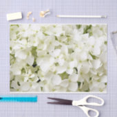 White Hydrangea Summer Party Seidenpapier (Handwerk)