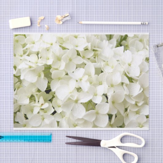 White Hydrangea Summer Party Seidenpapier (Handwerk)
