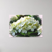 *~* White Hydrangea TV2 Art Stretched Canvas Print Leinwanddruck (Vorderseite)