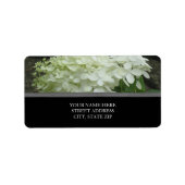 White Hydrangeas Address Labels Adressaufkleber (Vorne)