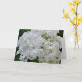 White Hydrangeas Grußkarte Karte (Gelbe Blume)