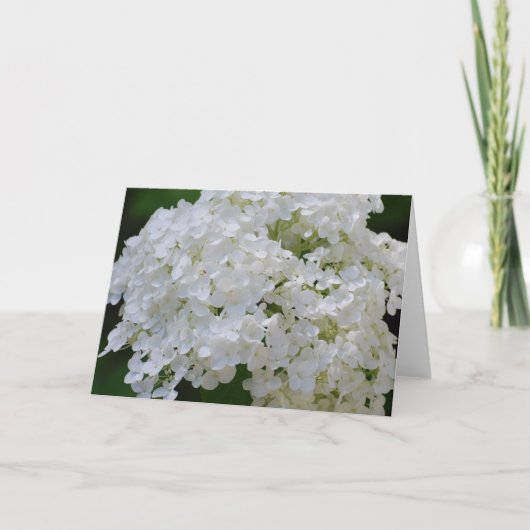 White Hydrangeas Grußkarte Karte (Vorderseite)