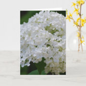 White Hydrangeas Grußkarte Karte (Gelbe Blume)