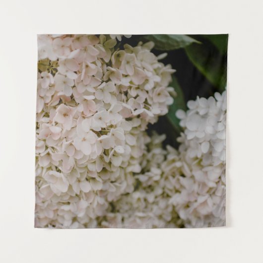 WHITE HYDRANGEAS IN BLOOM WANDTEPPICH (Vorderseite)