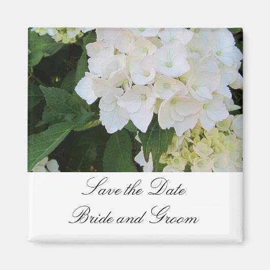 White Hydrangeas Magnet (Vorne)