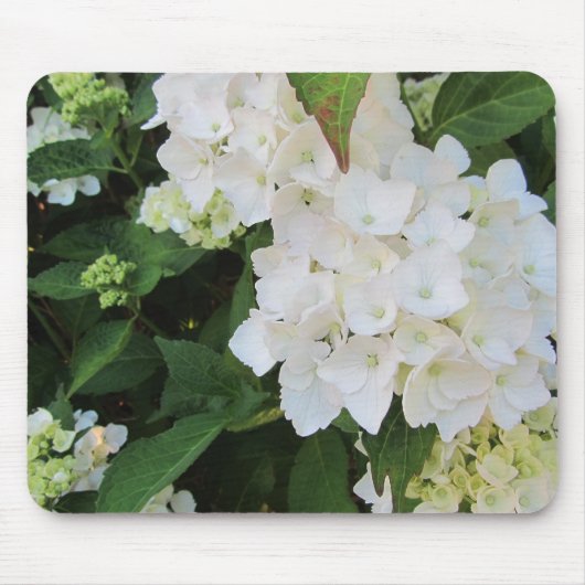 White Hydrangeas Mousepad (Vorne)