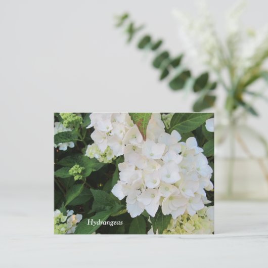 White Hydrangeas Postkarte (Stehend Vorderseite)