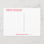 White Ibis Bird am Strand Sanibel Island Florida Postkarte (Rückseite)