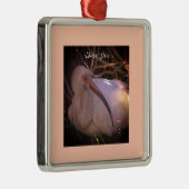 White Ibis Bird Foto Ornament (Rechts)