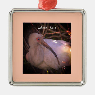 White Ibis Bird Foto Ornament