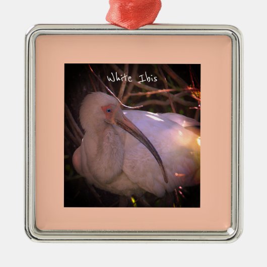 White Ibis Bird Foto Ornament Aus Metall (Vorne)