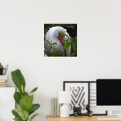 White Ibis Bird Foto Poster (Heimbüro)