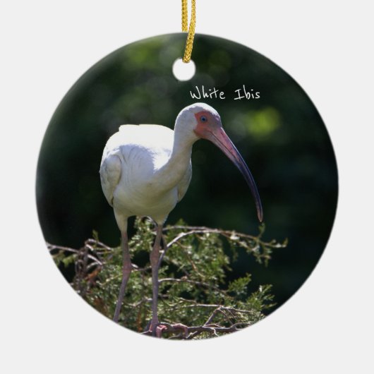 White Ibis Bird Ornament (Vorne)