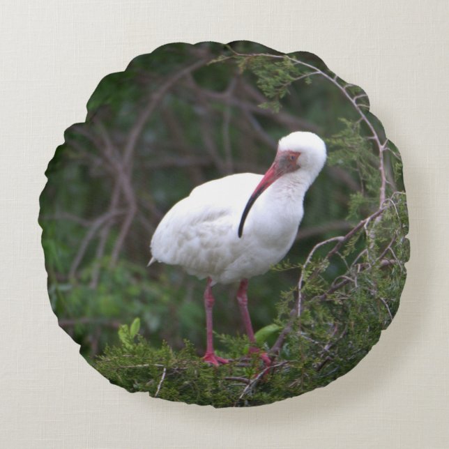 White Ibis Bird Pillow Rundes Kissen (Vorderseite)