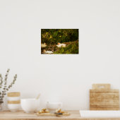 White Ibis Birds Nesting Poster (Küche)