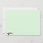 White Ibis Flat Grußkarte Karte (Rückseite)