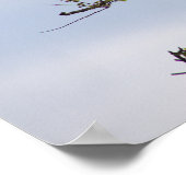 White Ibis Foto Poster (Ecke)