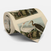 White Ibis - John James Audubons Vögel in Amerika Krawatte (Gerollt)