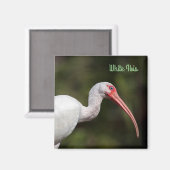 White Ibis Magnet (Vorderseite/Rückseite)